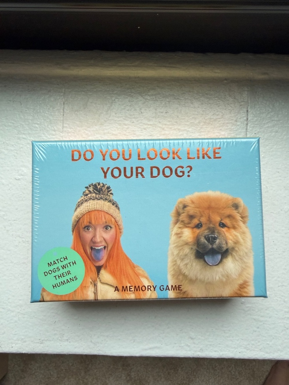 Do You Look Like Your Dog? Memory Card Game